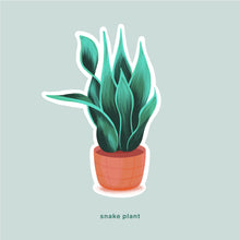 Load image into Gallery viewer, Snake Plant Sticker
