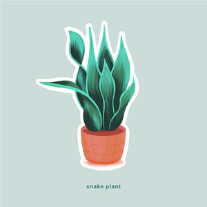 Snake Plant Sticker